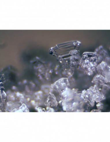 BRESSER Erudit ICD Stereo Microscope...