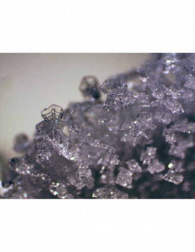 BRESSER Erudit ICD Stereo Microscope...