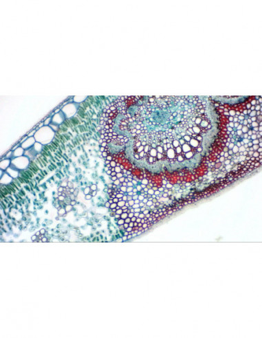 BRESSER MikrOkular Full HD eyepiece...