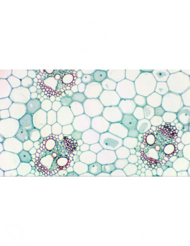 BRESSER MikrOkular Full HD eyepiece...