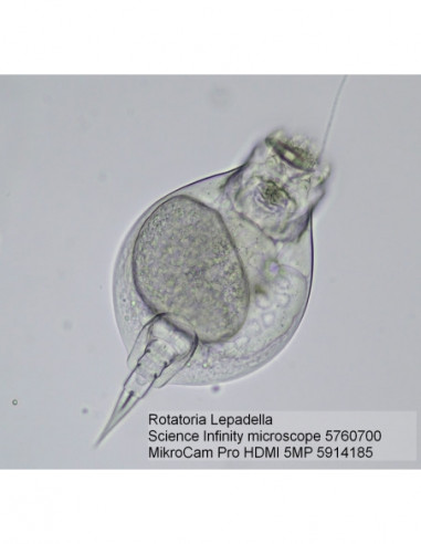 MikroCam PRO HDMI camera 5MP