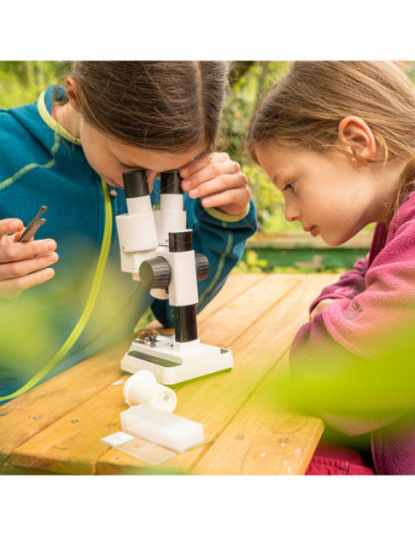 BRESSER JUNIOR Incident and...