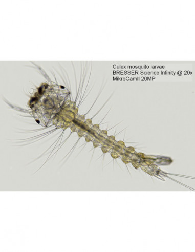 BRESSER MikroCam II 20 MP 1 039 039...