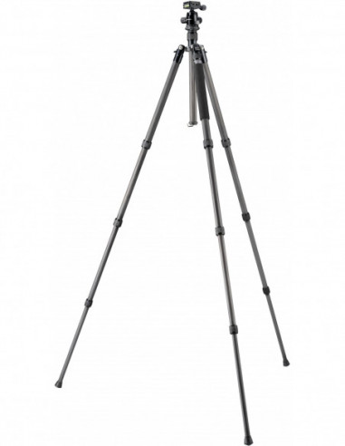 BRESSER BR-2504X8C-B1 Carbon Camera...