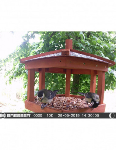 BRESSER BirdSmall Animal-Camera SFC-1