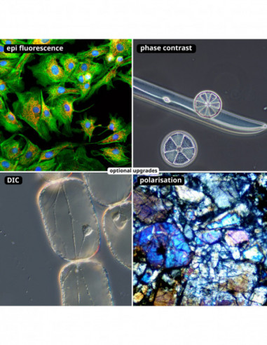 Nexcope NE930 Upright Microscope