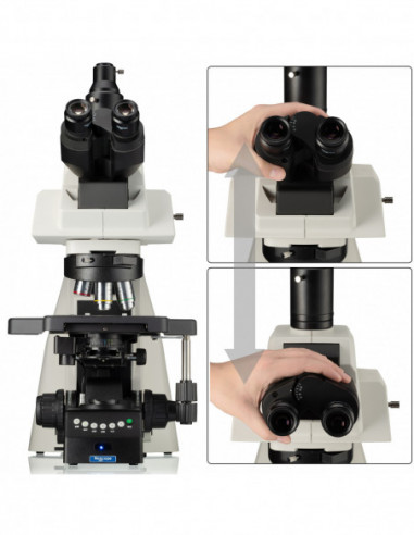 Nexcope NE930 Upright Microscope