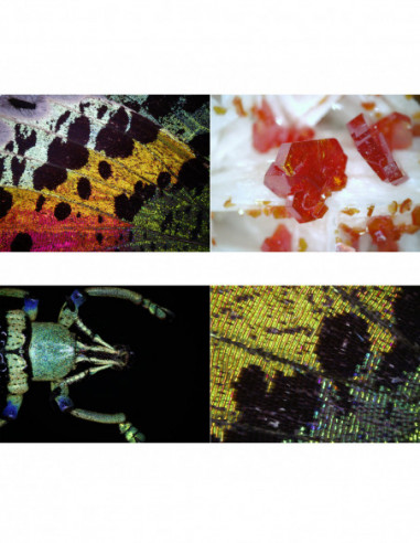 BRESSER USB Digital Microscope...