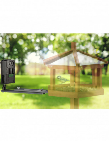 FREEK VONK BirdSmall Animal Camera