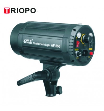 Oubao 250w Flash Lampe