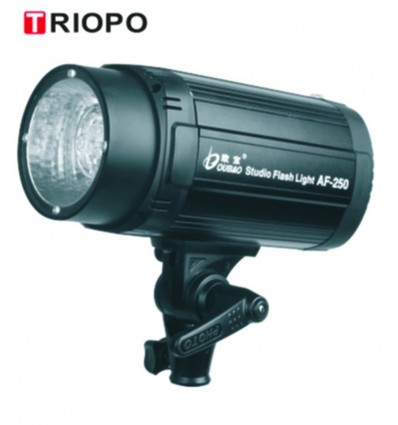 Oubao 250w Flash Lampe