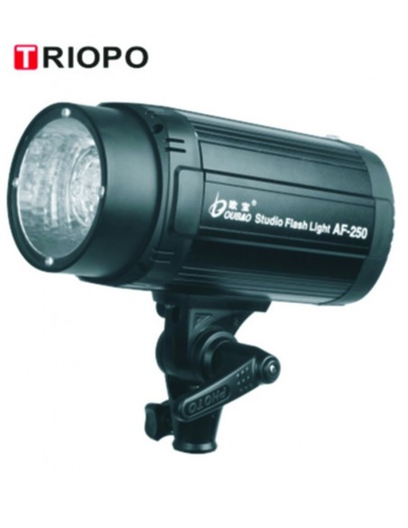 Oubao 250w Flash Lampe