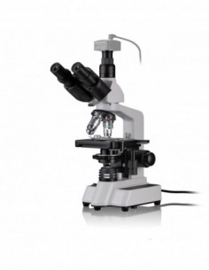 BRESSER Researcher Trino...