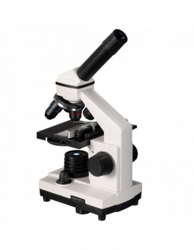 BRESSER Biolux NV 20x-1280x...