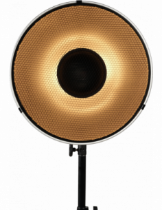 Nanlite Beauty Dish...