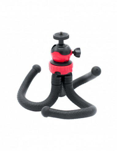 Godox Daylight Macro Continue Light Kit