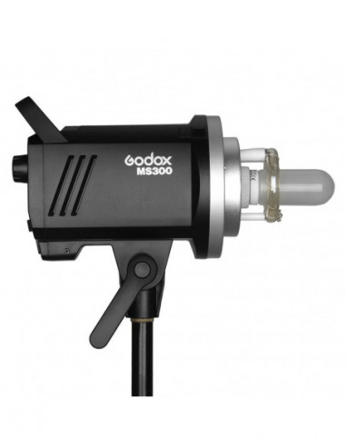 Godox MS300 F Kit