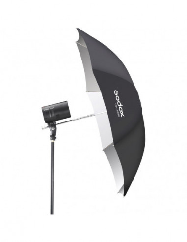 Godox AD100Pro Dual Kit