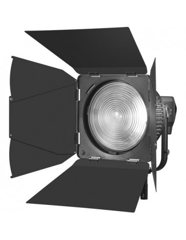 Godox Fresnel barndoor for 10 inch lens