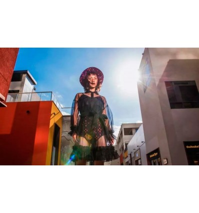 Godox Witstro Softbox Kit - 48cm Octagonbox m. grid & diff. & dish sheet 0