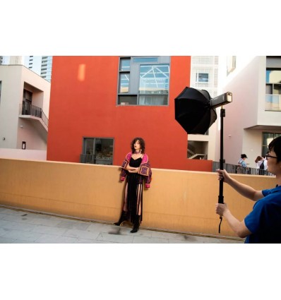 Godox Witstro Softbox Kit - 48cm Octagonbox m. grid & diff. & dish sheet 0