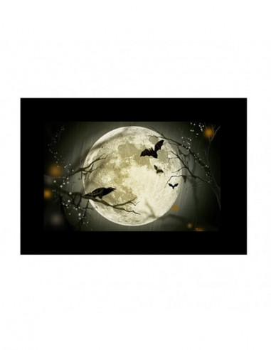 Godox Slide Filter AK S02 (10 pcs)