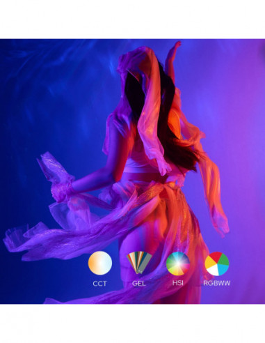 Godox WT25R Dive LED Light