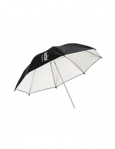 Godox SK300IIV C Studio Flash Kit