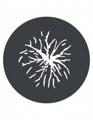 Godox GP GS2 GOBO Set for MG1200Bi