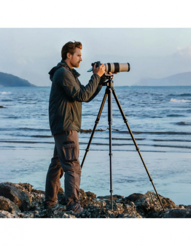 Falcam TreeRoot Quick Lock Lite...