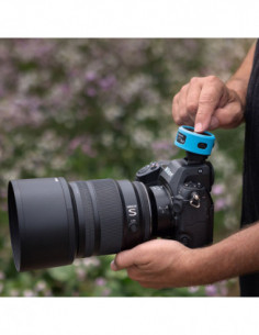 Westcott Bumper Guards for... 2