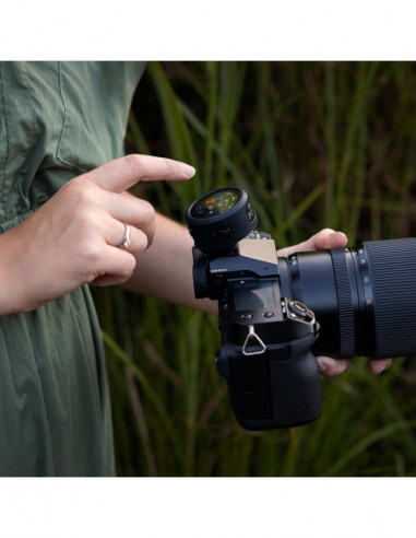 Westcott Bumper Guards for FJ T1...