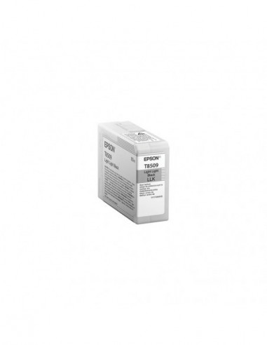 EPSON Ink UltraChrome HD T850900...
