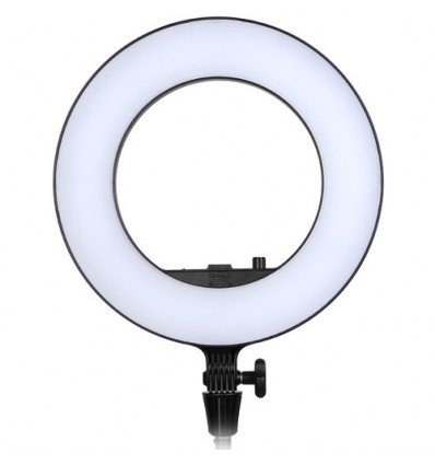 Godox LED ringlight LR-180 (Sort)