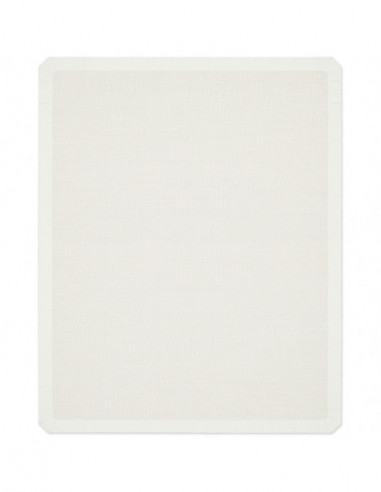 EPSON Platen Grip Pad L to SC-F2100