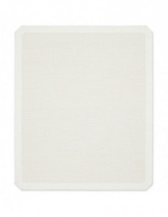 EPSON Platen Grip Pad S to...