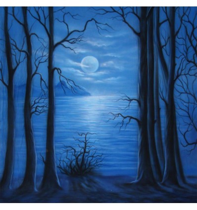 Walimex pro stofbaggrund 'Moonlight' 3x6m ""PÅ FJERNLAGER - Leveringstid ca. 3 hverdages""