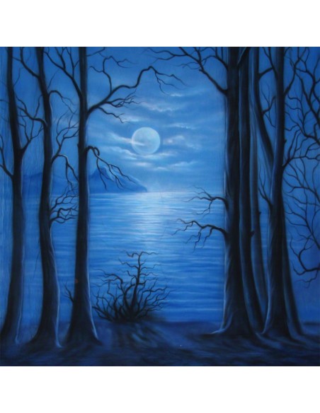 Walimex pro stofbaggrund 'Moonlight' 3x6m ""PÅ FJERNLAGER - Leveringstid ca. 3 hverdages""