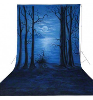 Walimex pro stofbaggrund 'Moonlight' 3x6m ""PÅ FJERNLAGER - Leveringstid ca. 3 hverdages""