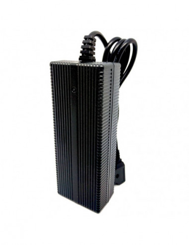 GEN ENERGY Batteriladdare G-C60P 6A