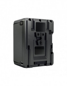 ANTONBAUER Battery DIONIC... 2