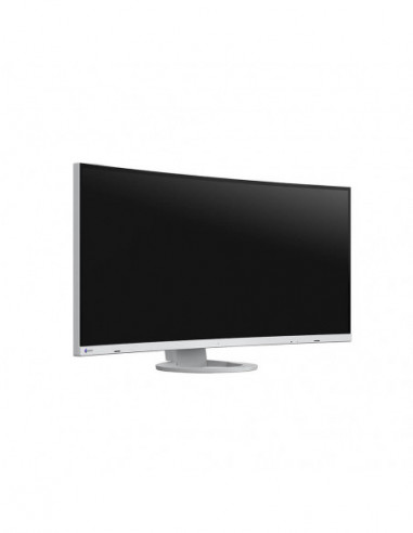 EIZO Monitor FlexScan EV3895 38" Vit