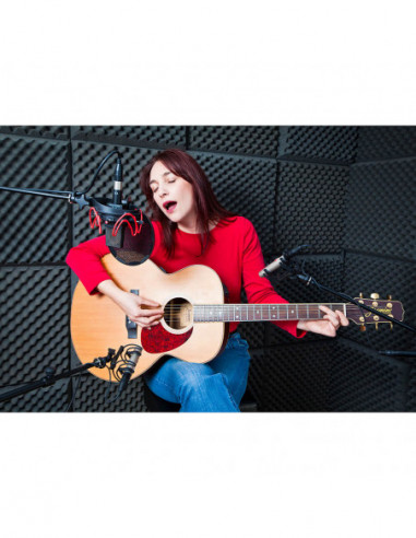 RYCOTE InVision Studio Kit USM-L