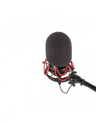 RYCOTE Mic Foam Large Diaphragm