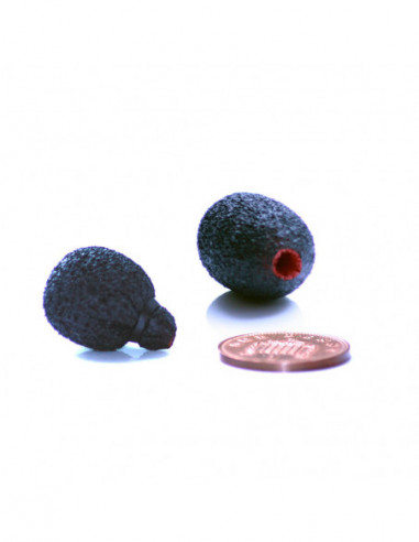 RYCOTE Lavalier Foam Neoprene Coated