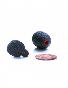 RYCOTE Mini Lavalier Foam... 2