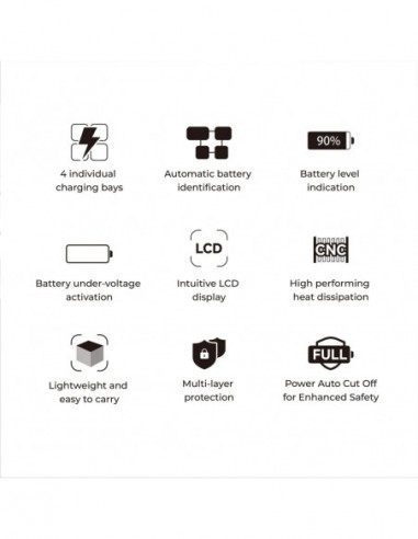 ACCSOON TopRig 100W 4-Bay NP-F Fast...