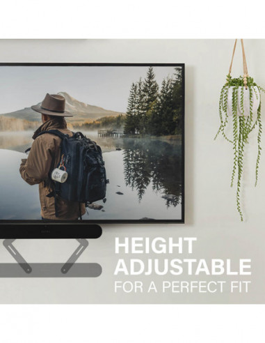 SANUS Soundbar Mount for Sonos Ray Black