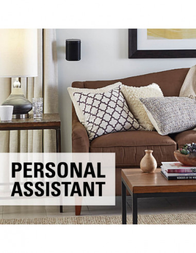 SANUS Wall Mount for Sonos One SL...