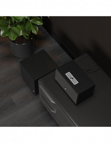 AUDIO PRO Speaker C10 MK II Multiroom...